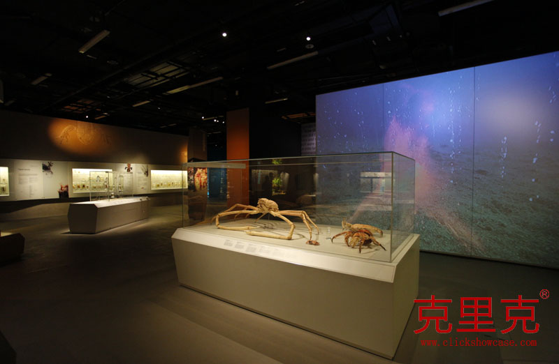 博物馆桌式展柜尺寸设计标准